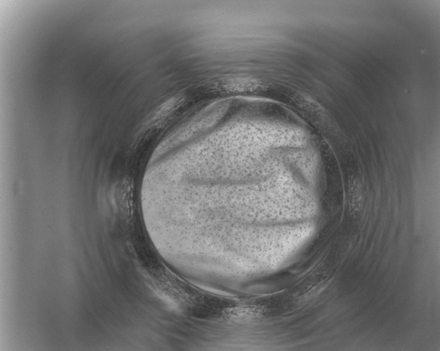 X0000055970356200509162204