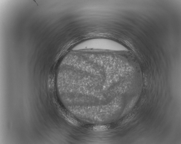 X0000055970357200509162204