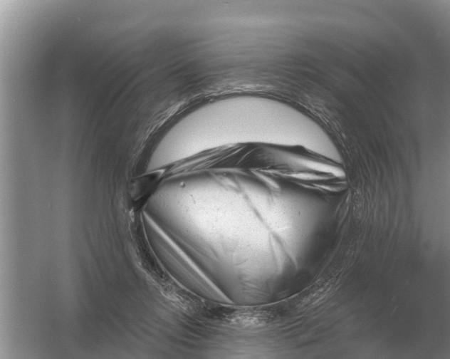 X0000055970358200509162204