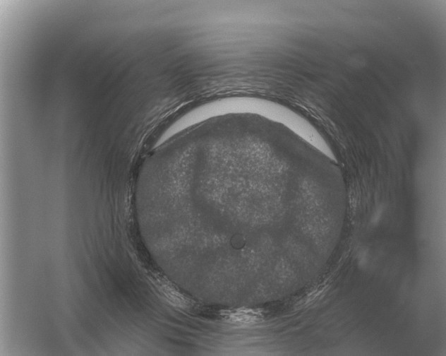 X0000055970359200509162204