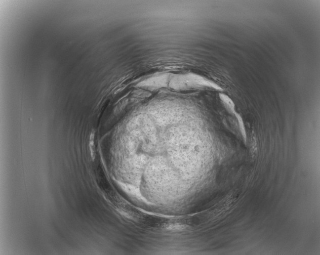 X0000055970360200509162204