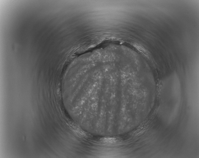 X0000055970361200509162204