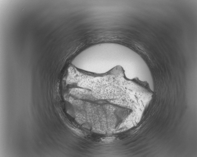 X0000055970362200509162204