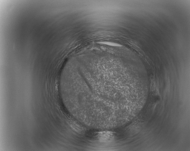 X0000055970363200509162204