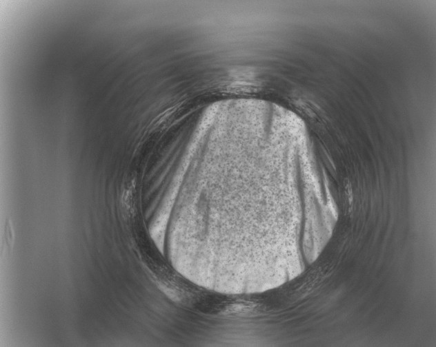 X0000055970364200509162204