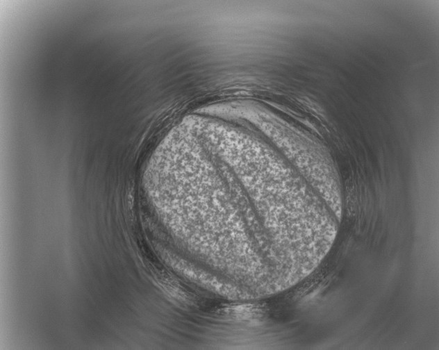 X0000055970365200509162204