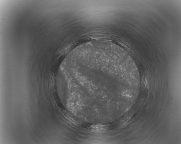 X0000055970367200509162204