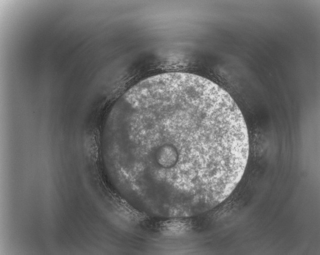 X0000055970370200509162205