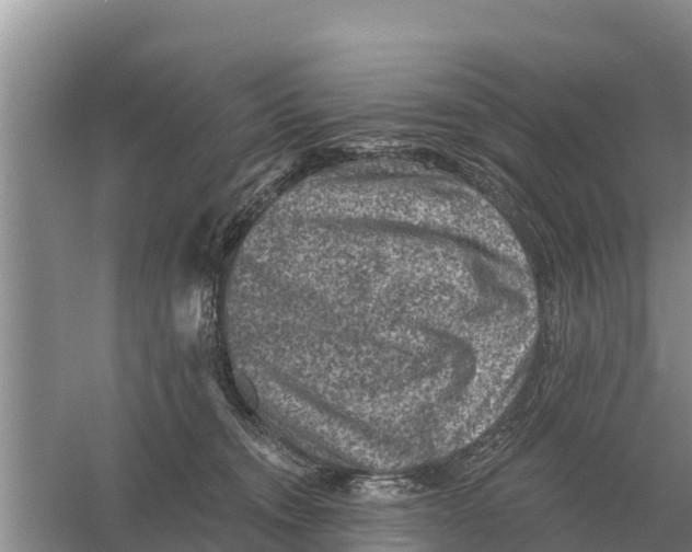 X0000055970372200509162205