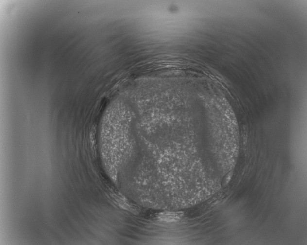 X0000055970373200509162205