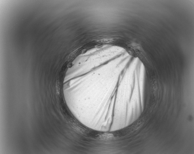 X0000055970374200509162205