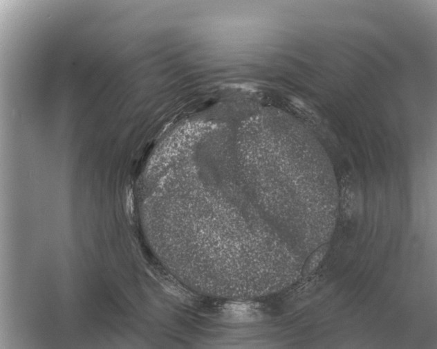 X0000055970375200509162205