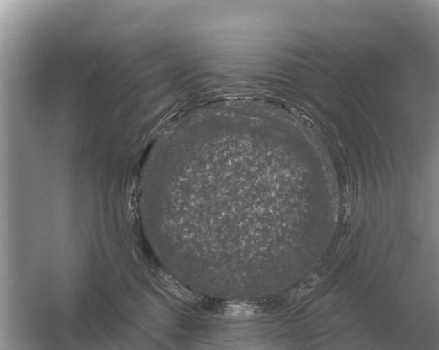 X0000055970376200509162205