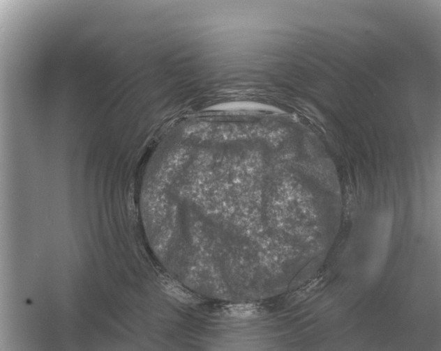 X0000055970377200509162205