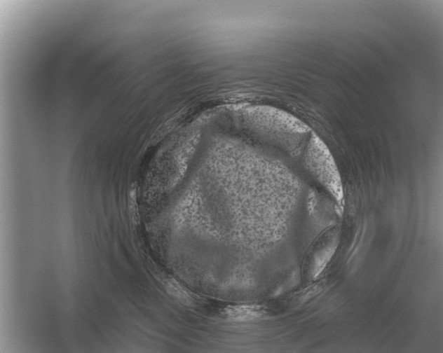 X0000055970378200509162205