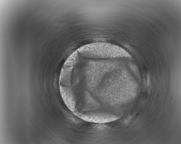 X0000055970379200509162205