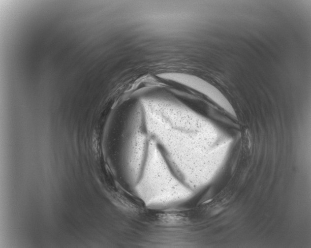 X0000055970380200509162205