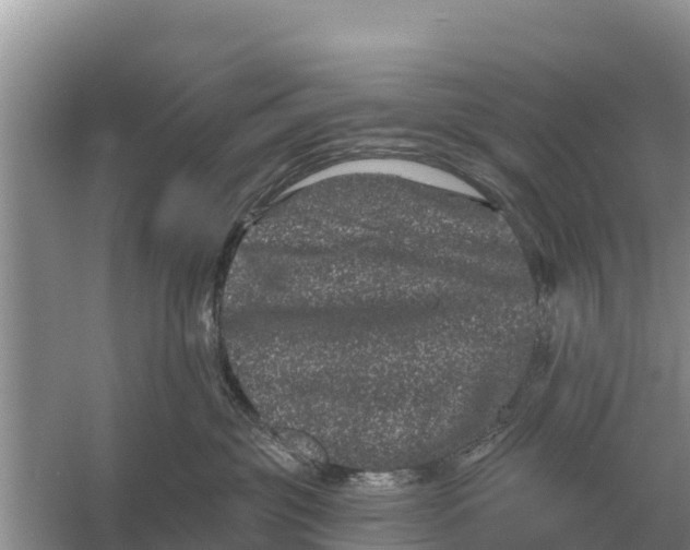 X0000055970381200509162205