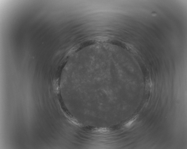 X0000055970383200509162205