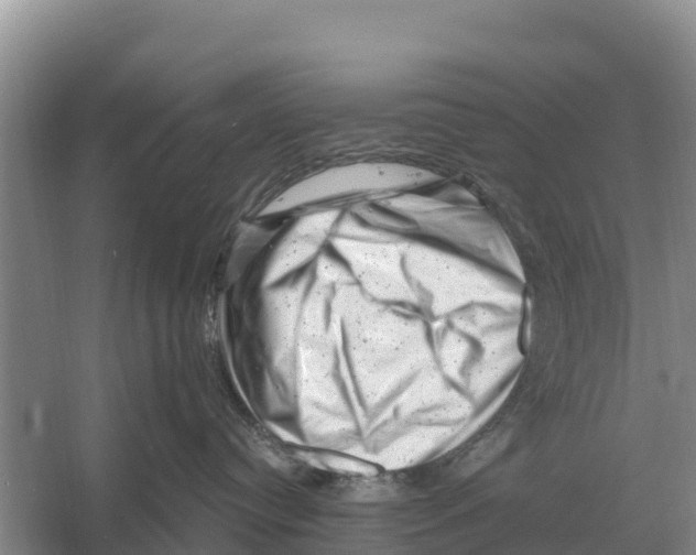 X0000055970384200509162205