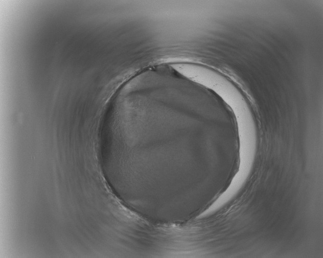 X0000055970385200509162204