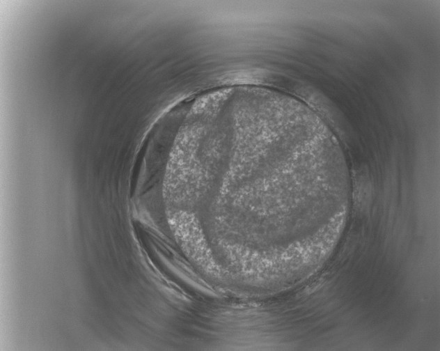 X0000055970386200509162204