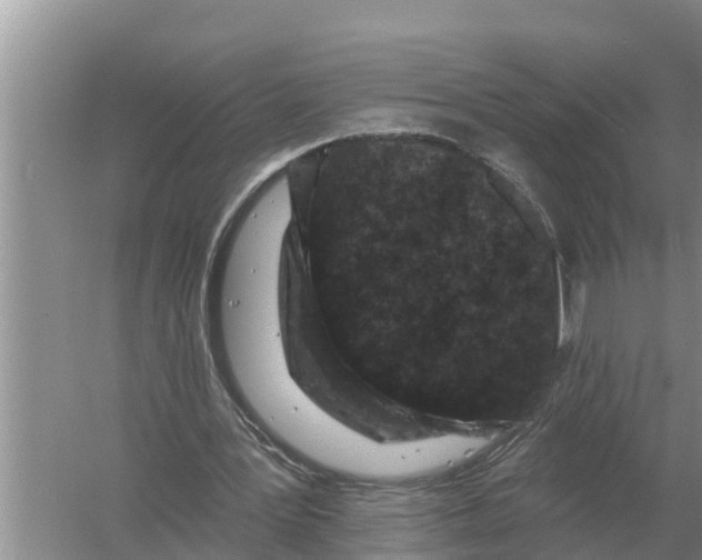 X0000055970387200509162204