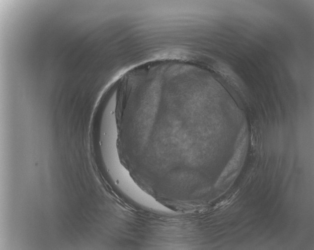 X0000055970388200509162204