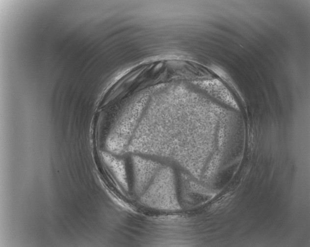 X0000055970389200509162204