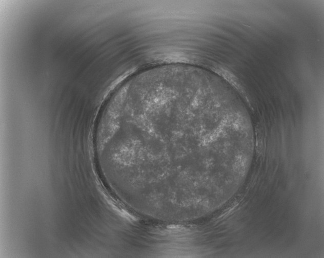 X0000055970390200509162204