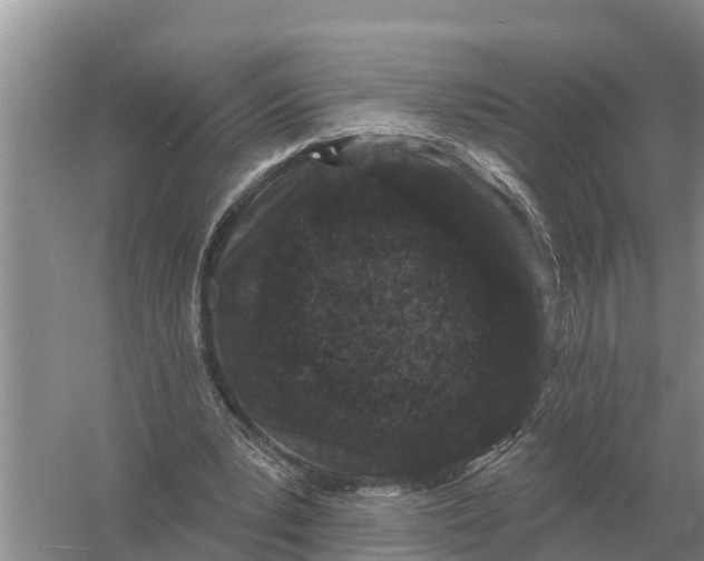 X0000055970391200509162204