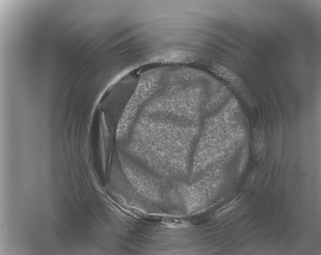 X0000055970392200509162204