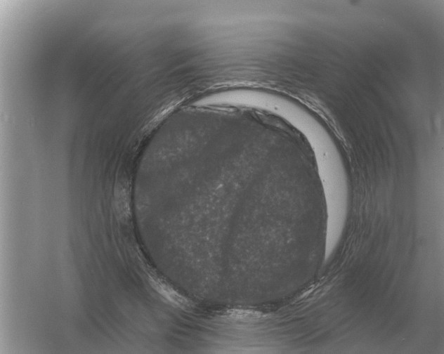 X0000055970393200509162204