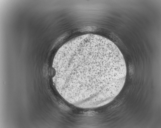 X0000055970396200509162204