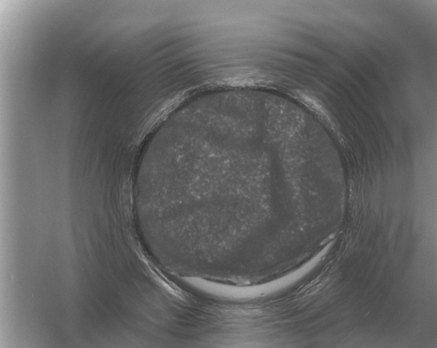 X0000055970397200509162204