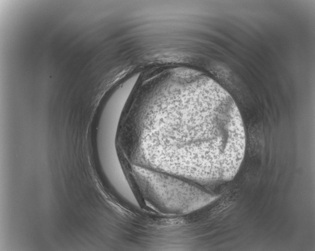 X0000055970398200509162204