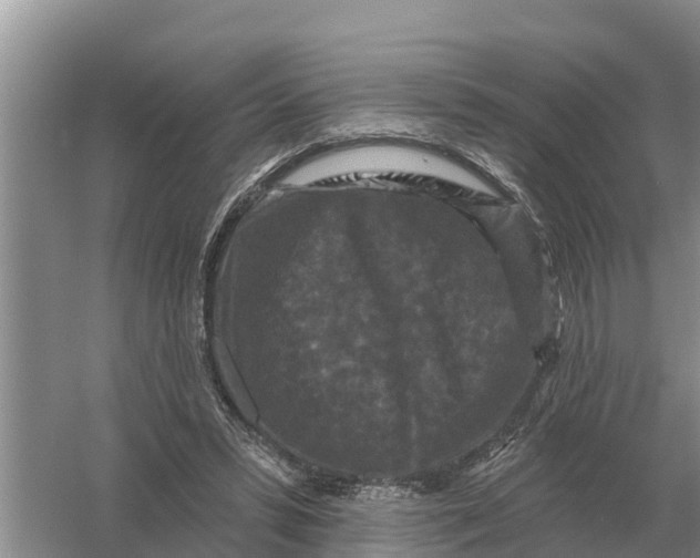 X0000055970399200509162204