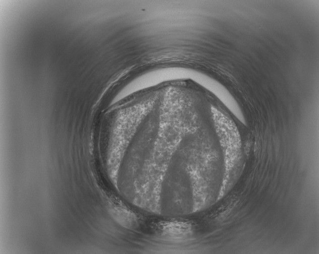 X0000055970400200509162204