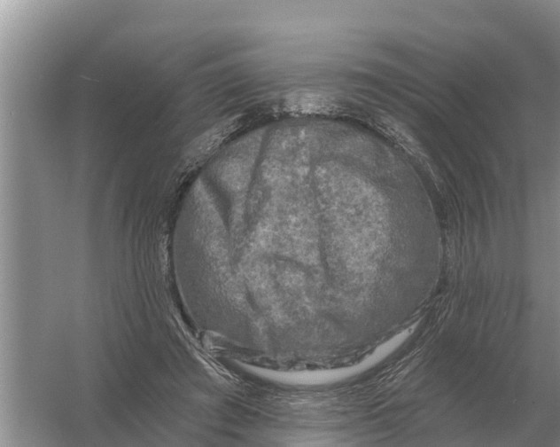 X0000055970401200509162204