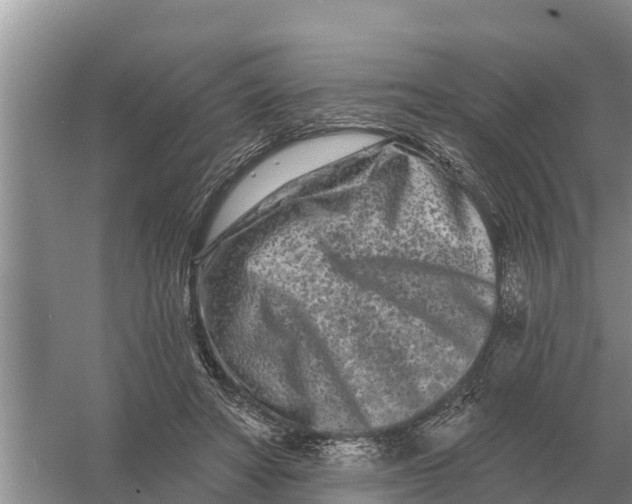 X0000055970402200509162204