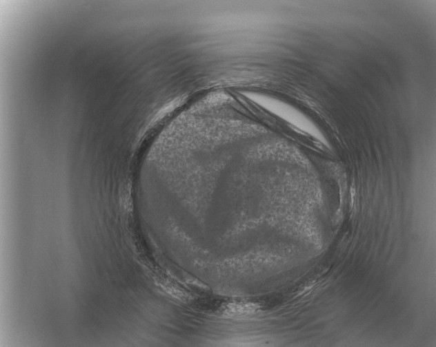 X0000055970403200509162204