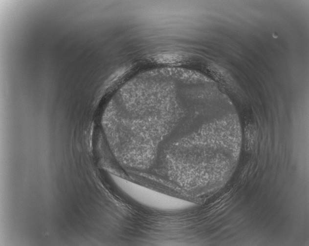 X0000055970404200509162204