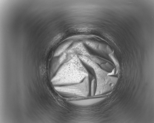 X0000055970407200509162204