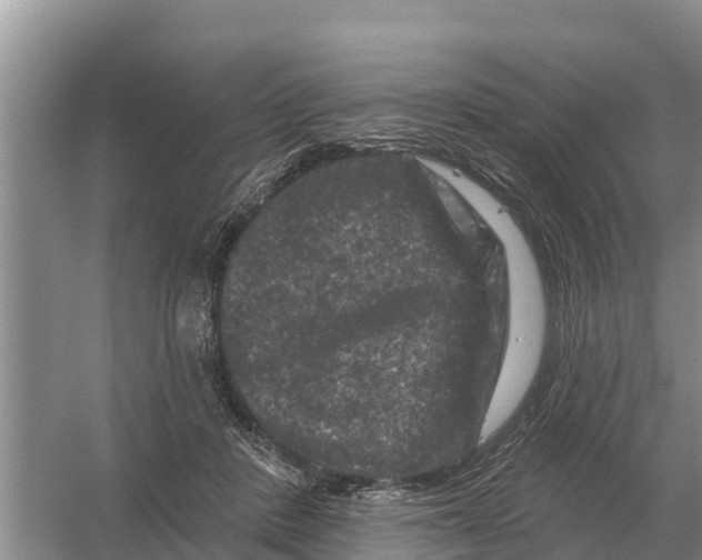 X0000055970408200509162204