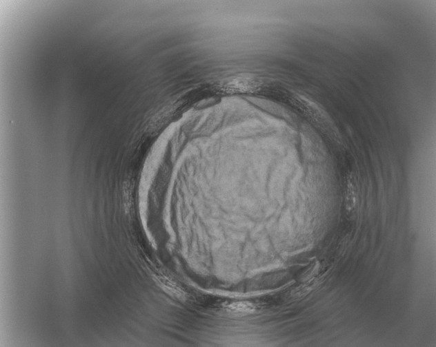 X0000055970409200509162204