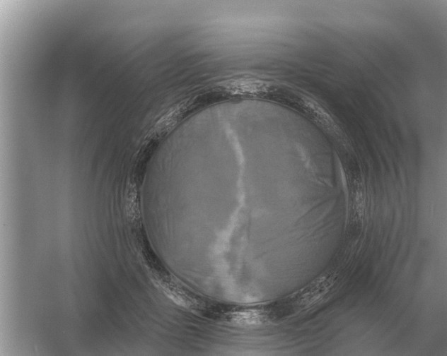 X0000055970411200509162203