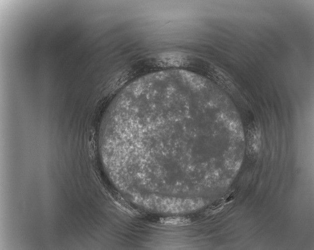 X0000055970414200509162203