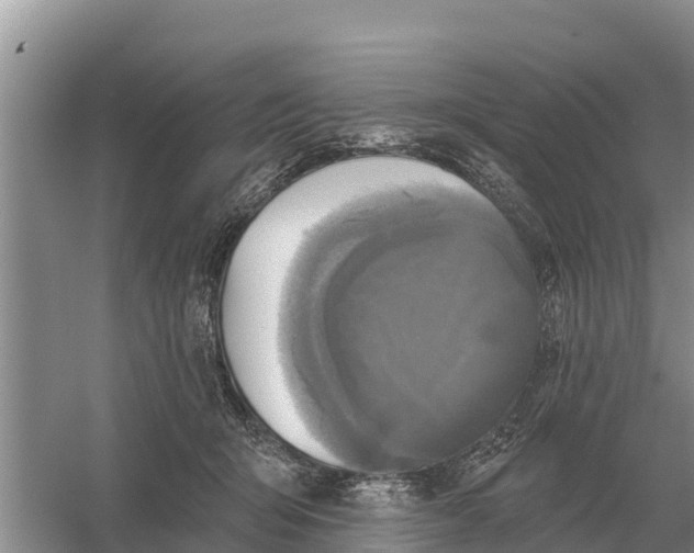 X0000055970415200509162203