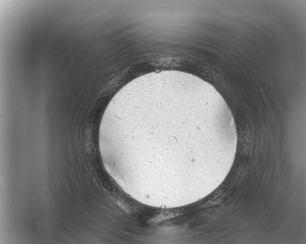 X0000055970416200509162203