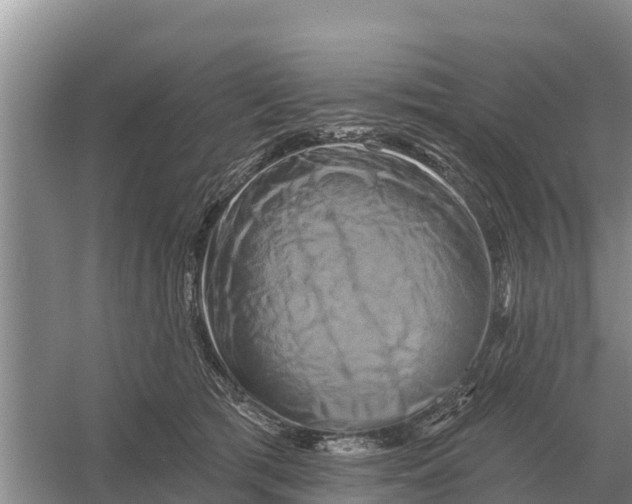 X0000055970417200509162203